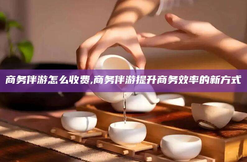 普洱商务伴游怎么收费,商务伴游提升商务效率的新方式